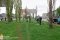 На центральной аллее Шадринска высадили 200 молодых деревьев