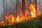 8 пожаров произошло в Шадринске и Шадринском МО за неделю