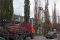 В Шадринске продолжаются работы по удалению аварийных тополей на улице Свердлова