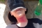   11-    -    