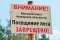 В Шадринске продлен запрет на посещение лесов