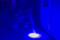 � ��������� ��������� �������� �� ����� ��������