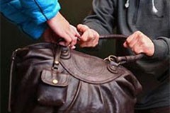 В Шадринске грабитель получил отпор от потерпевшей