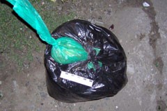 Рецепт в Интернете привел курганского студента на скамью подсудимых