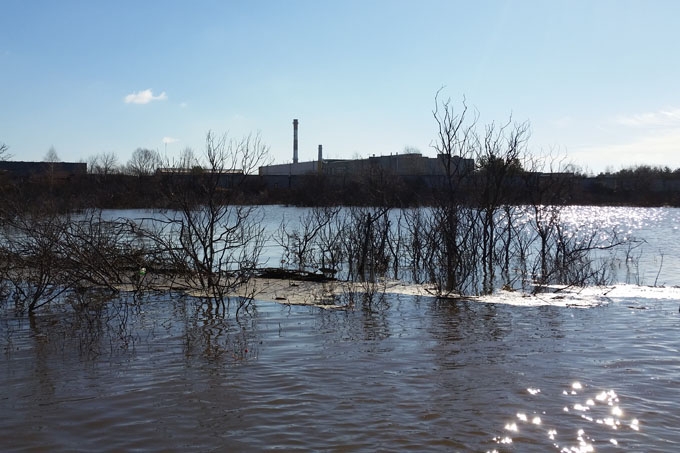 Река Исеть Шадринск