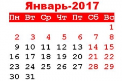      31   8 