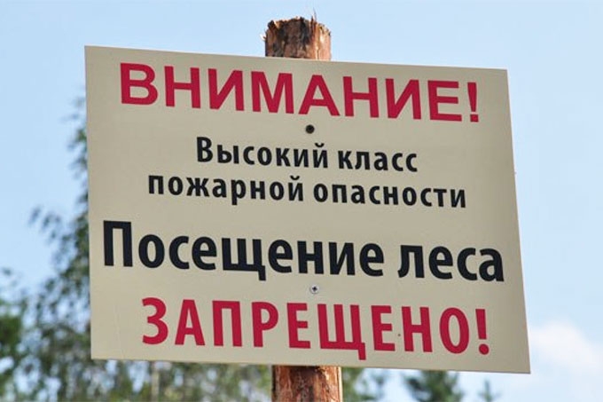� 5 ��� ����� ������ �� ��������� �����