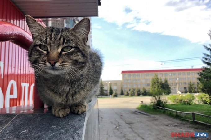Погода выходных: жара продолжается