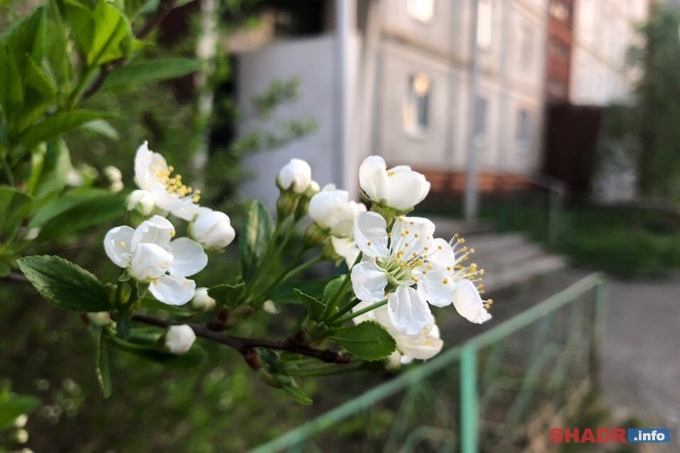 Погода выходных: небольшое потепление