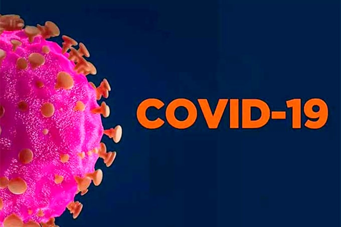 ����� ������ ����������� ������� COVID-19 � �������