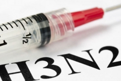      " " (H3N2)