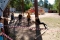 Шадринские школьники приняли участие в Первенстве Курганской области по спортивному туризму