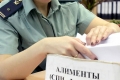 Судебные приставы представили «портрет» зауральского должника по алиментам