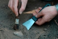Кость неизвестного древнего хищника нашли палеонтологи в Пиренеях