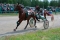 В Зауралье прошли конные соревнования на «Кубок губернатора»
