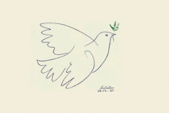 21  -   