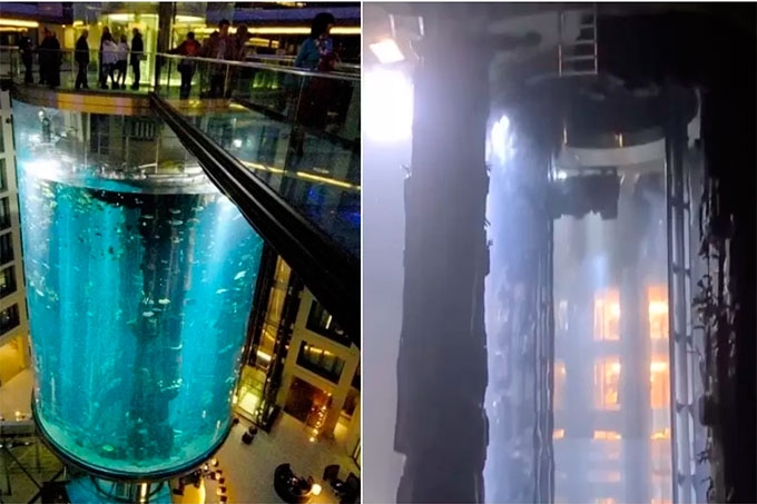В Берлине лопнул самый большой в мире цилиндрический аквариум