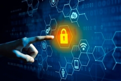        DDoS-  2022 