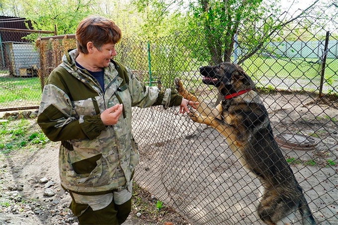 В Кургане во время пожаров кинологи эвакуировали более 50 служебных собак