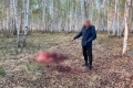 В Каргапольском МО задержали двух браконьеров