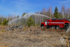 Почти 30 пожаров зарегистрировано за май в Шадринске
