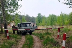 В Шадринске продлен запрет на посещение лесов