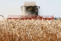 Более 45 процентов зерновых и бобовых обмолочено в Курганской области