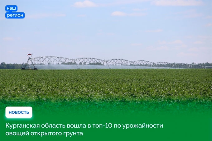 Курганская область вошла в ТОП-10 по урожайности овощей открытого грунта