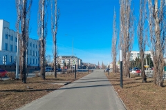  20         