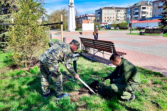 Десяток молодых елей украсили шадринский сквер Победы