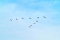 10  -    