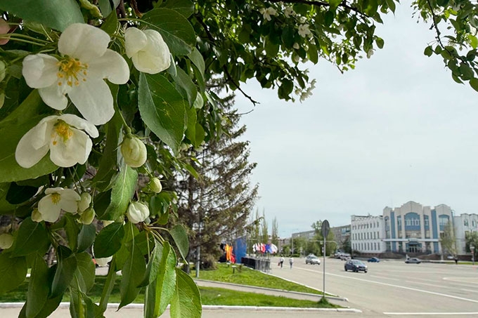 Пасмурно и дождливо будет на рабочей неделе в Шадринске