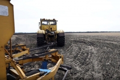Почти 80 тысяч гектаров посевных площадей засеяно в Курганской области