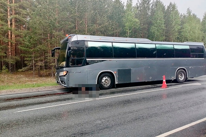 Автобус насмерть сбил пешехода в Белозерском МО