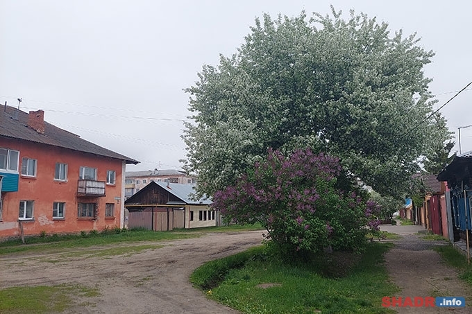 Первый день лета принесет в Шадринск 32-х градусную жару