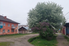       32-  
