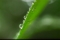  : 7  -    