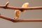  : 14  -  