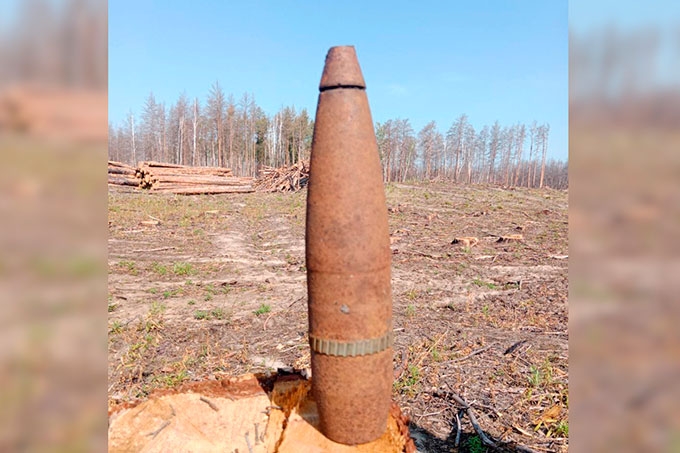 Снаряд времен Гражданской войны обнаружен в лесу возле поселка Чистопрудный