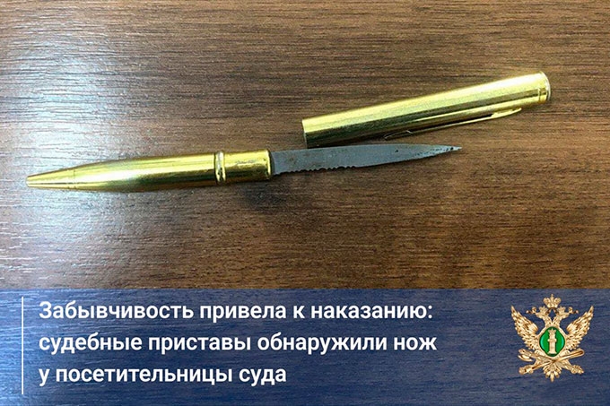 Жительница Шадринска пришла в суд с ножом, замаскированным под ручку