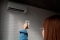 17  -   