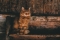  : 3  -  