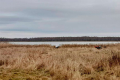 В водах озера Малый Тукмыш в Курганской области утонул охотник