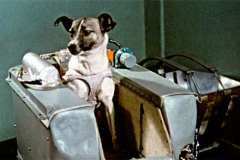 68 лет назад в СССР совершен запуск космического аппарата «Спутник-2» с собакой Лайкой на борту