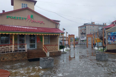 Снег с дождём и понижение температуры ожидается в выходные дни в Шадринске