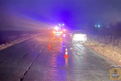 В Шадринском МО в результате ДТП погиб пешеход