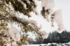 Предстоящая зима в Курганской области будет теплой
