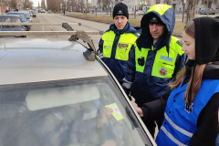 «Помним»: В Шадринске прошли акции ко Дню памяти жертв ДТП