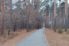 «Температурные качели» ожидают шадринцев на рабочей неделе