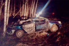 Смертельное ДТП произошло на трассе в Каргапольском МО